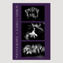 Small Poster (15 x 22.5 in.) posters
