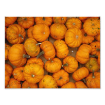 Small Pumpkins Photographic Print