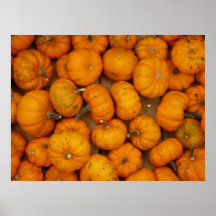 Small Pumpkins Poster