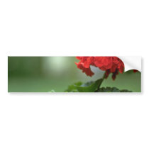 Small Red Bunch Bumper Stickers