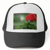 Small Red Bunch Hats