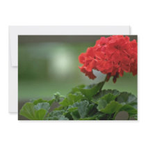 Small Red Bunch Invitations