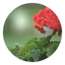 Small Red Bunch Sticker