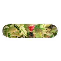 Small Red Flower Bush Custom Skateboard