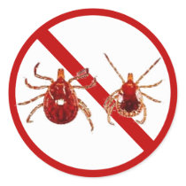 Small Stickers, Lyme Disease Tick (White)