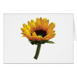 Small Sunflower Card