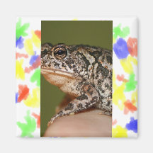 Small Toad Frog on finger against green door Fridge Magnets