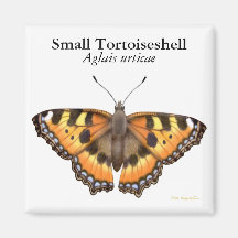 Small Tortoiseshell Butterfly Magnet