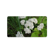 Small white flowers and buds personalized address label
