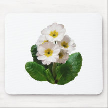 Small White Primroses Mousepad
