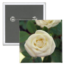 Small White Rose Button