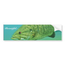 Smallmouth Bass Bumper Sticker