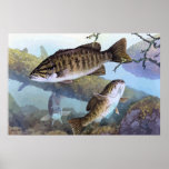 Smallmouth bass painting print