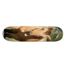 smart aleck horse skateboard