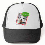 smart cat hats