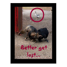 Smart goose carte postale