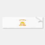 Smell of 3rd Grade in the Morning Bumper Stickers