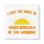 Smell of Endocrinology in the Morning Refrigerator Magnets