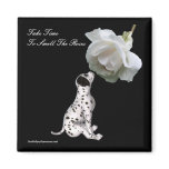 Smell Roses Puppy Rose Inspirational Magnet