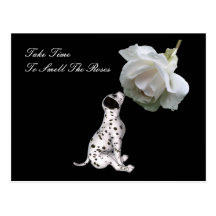 Smell Roses Puppy Rose Inspirational Postcard