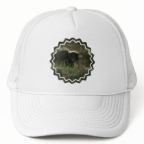 Smelly Skunk Baseball Hat