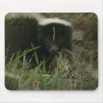 Smelly Skunk Mouse Pad