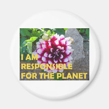 SMENKAZI DESIGNS  #003 MAGNETS