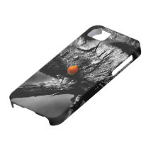 smile for a ladybug iPhone 5 cases