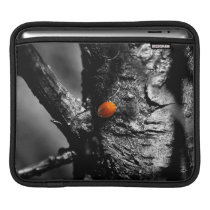 smile for a ladybug ipad sleeves