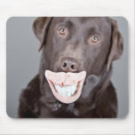 Smiley Face Labrador - Mousepad