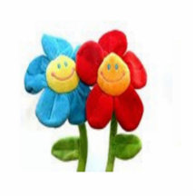 Smiley Flowers Photo Sculpture