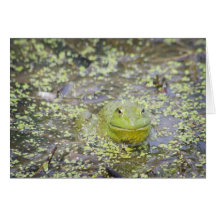 Smiley Frog Greeting Cards