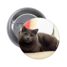 Smiley Kitty For Cat Lover Forever Pinback Button