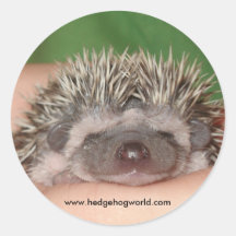 Smiling baby sticker
