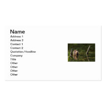 Smiling Beaver Business Card Templates