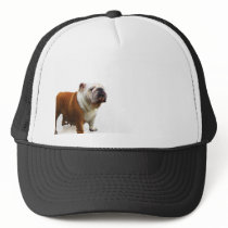 Smiling Bulldog Trucker Hats