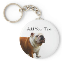 Smiling Bulldog Key Chains