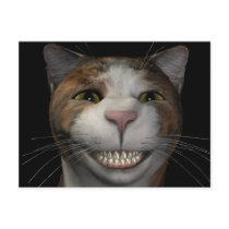 Smiling Cat