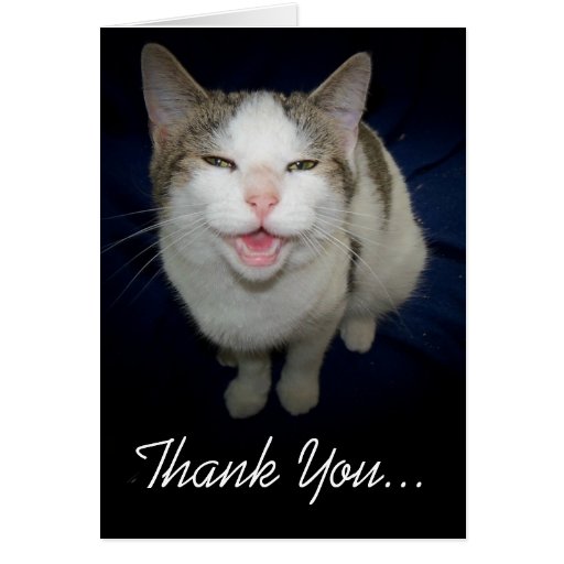 <b>Smiling Cat</b> Thank You Card - smiling_cat_thank_you_card-r73d7f8dc287e46259f776a69274b59fa_xvuat_8byvr_512