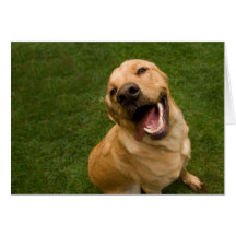 Smiling Dog Card