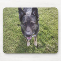 Smiling Dog mouse pad