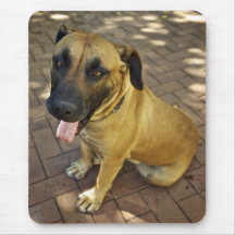 Smiling dog mousepads