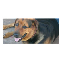 Smiling Dog Personalized Rack Card
