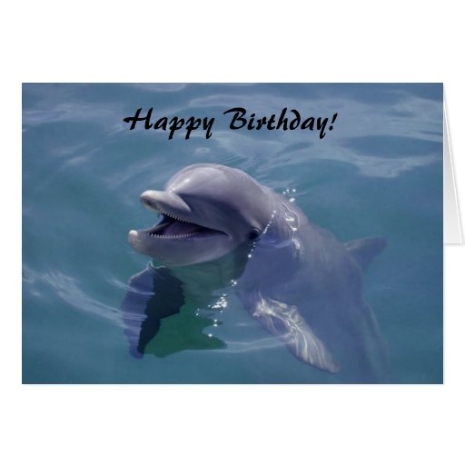 Smiling Dolphin Happy Birthday! Cards