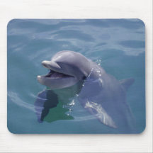 Smiling Dolphin Mouse Mat
