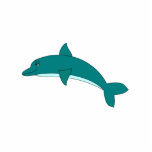 Smiling Dolphin