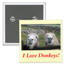 Smiling Donkeys! Pinback Buttons