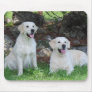 Smiling Golden Retriever Dogs Mouse Pad