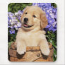 Smiling Golden Retriever Puppy Dog use Pad