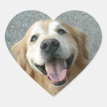 Smiling Golden Retriever Sticker